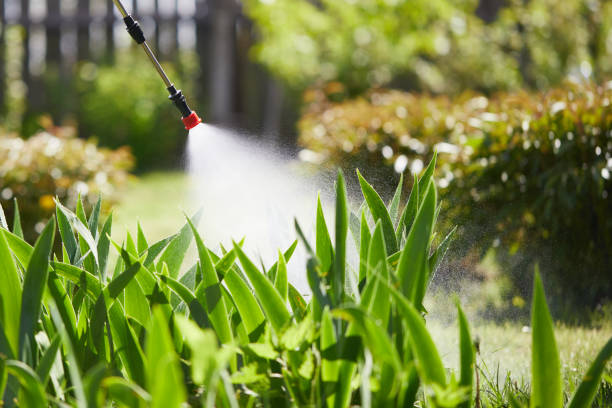 Tamper-Resistant Bait Stations for Rodents in Matawan
