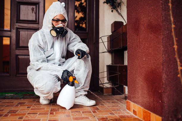 Attic and Crawl Space Rodent Treatment in Matawan