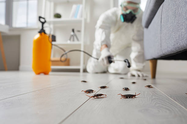 Commercial Rodent Management in Matawan